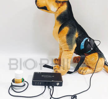 biohilia nls guardian for dogs